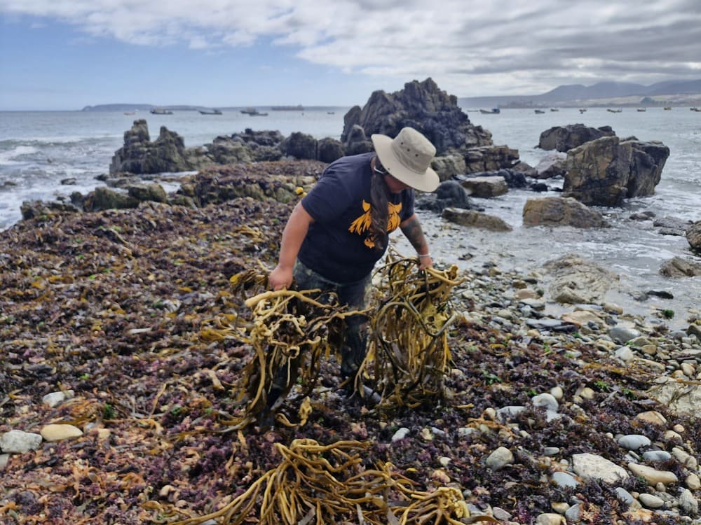 Karen Cisternas Legua: Transformando el mar en arte y legado